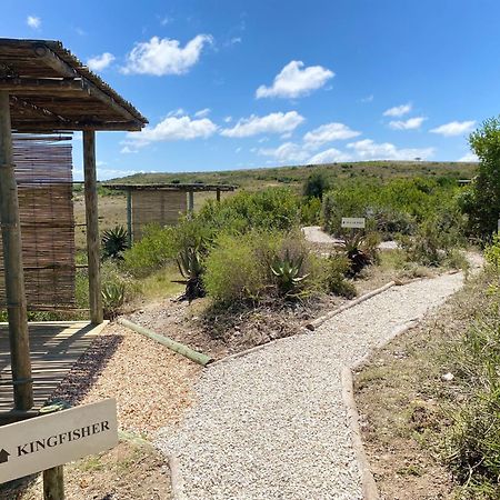 Garden Route Game Lodge Albertinia 외부 사진