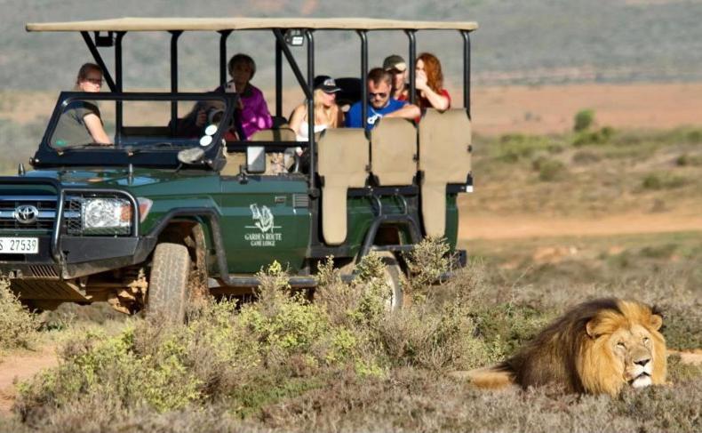 Garden Route Game Lodge Albertinia 외부 사진