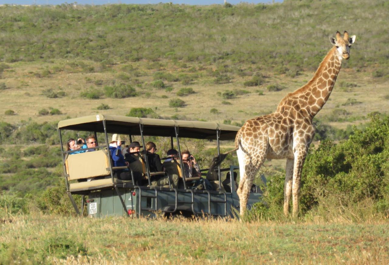 Garden Route Game Lodge Albertinia 외부 사진