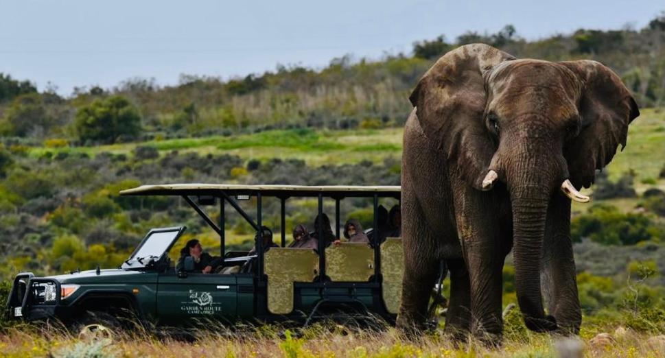 Garden Route Game Lodge Albertinia 외부 사진