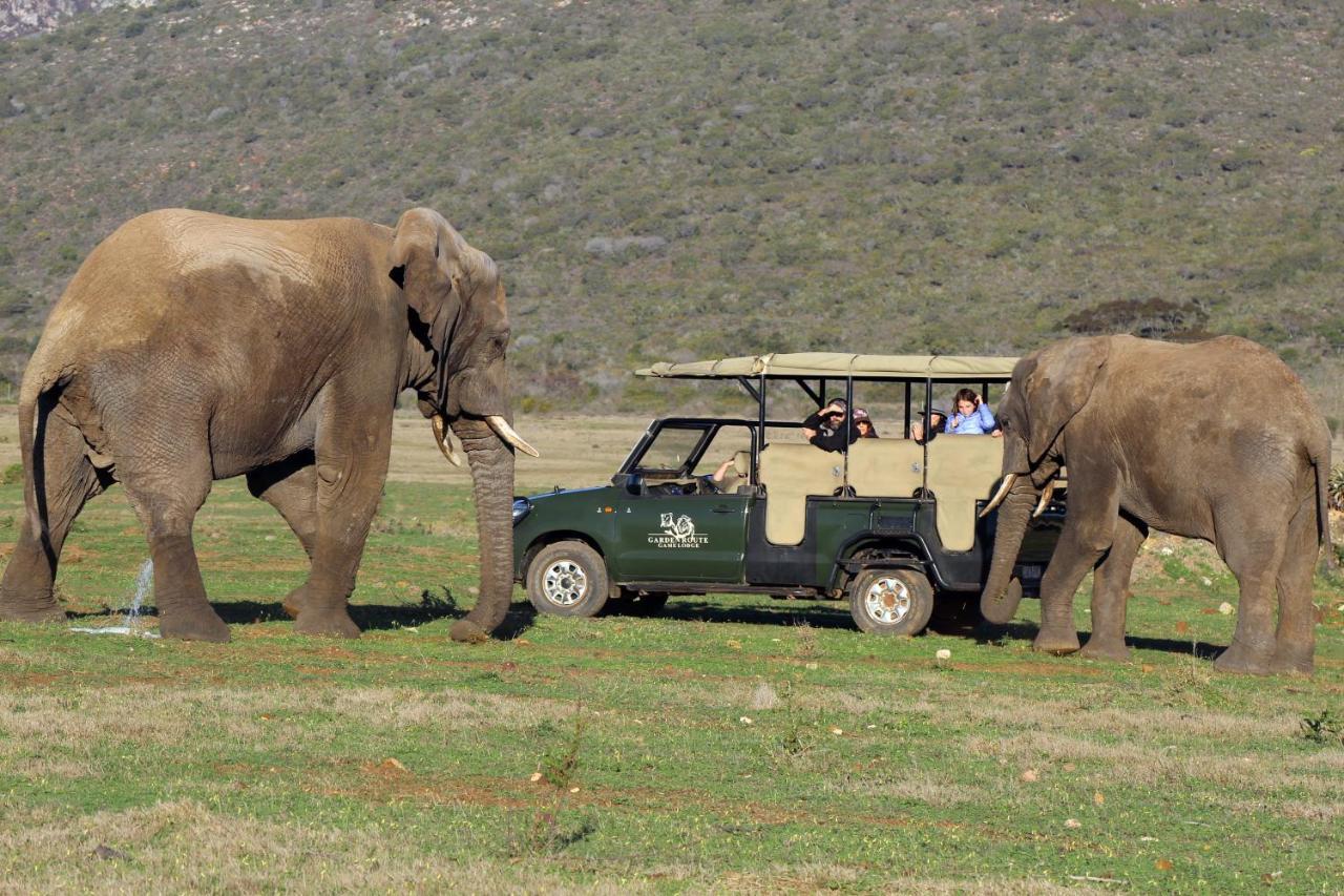 Garden Route Game Lodge Albertinia 외부 사진