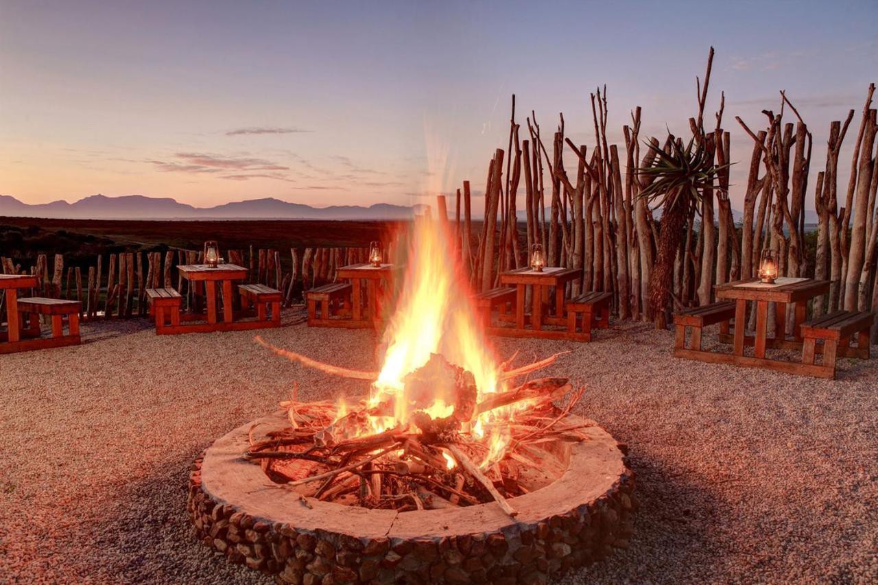 Garden Route Game Lodge Albertinia 외부 사진