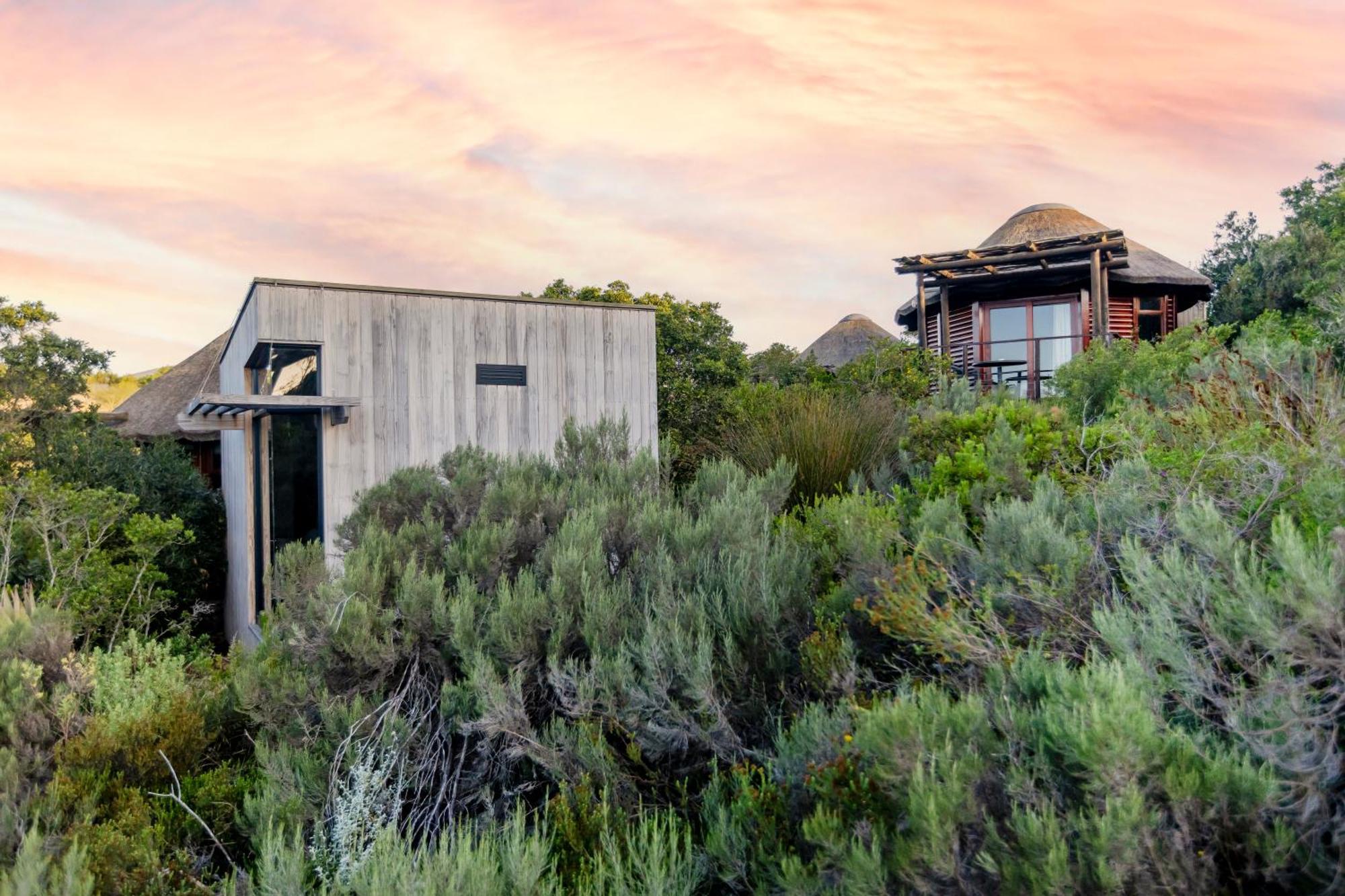 Garden Route Game Lodge Albertinia 외부 사진