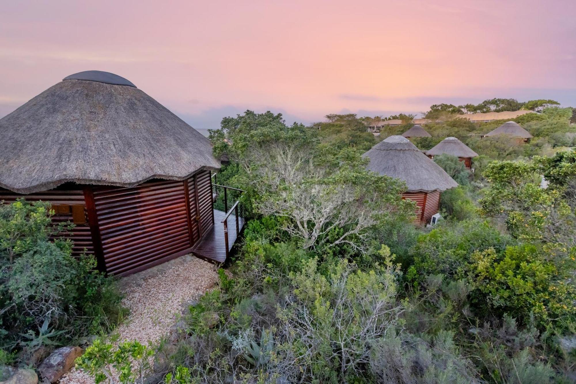 Garden Route Game Lodge Albertinia 외부 사진