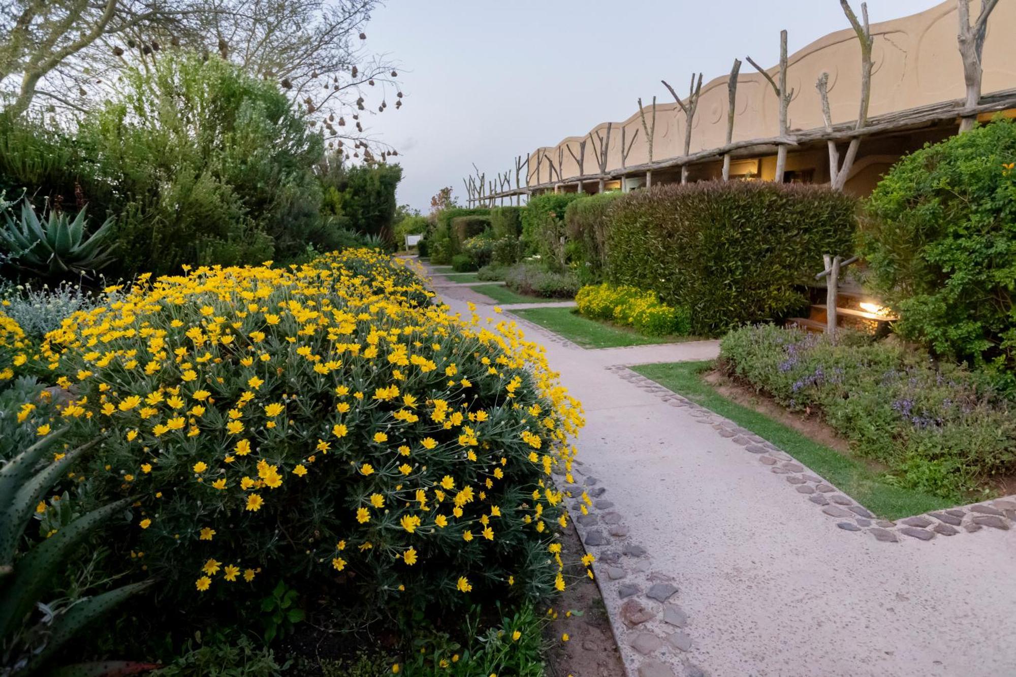 Garden Route Game Lodge Albertinia 외부 사진