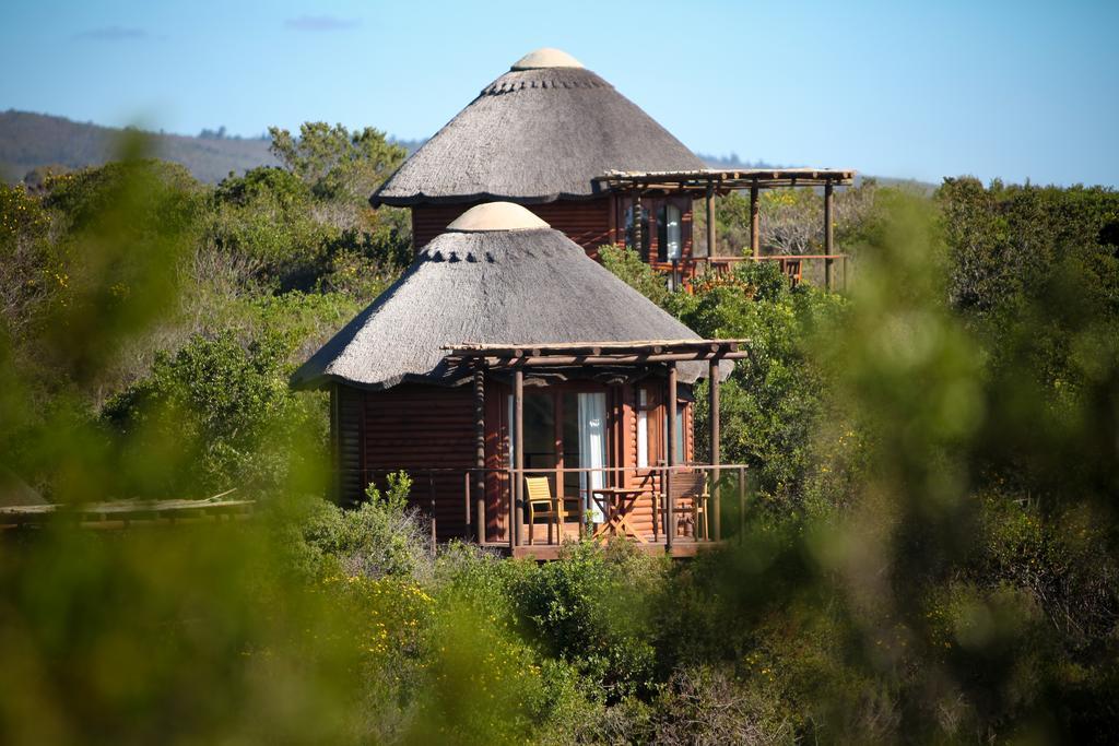 Garden Route Game Lodge Albertinia 외부 사진