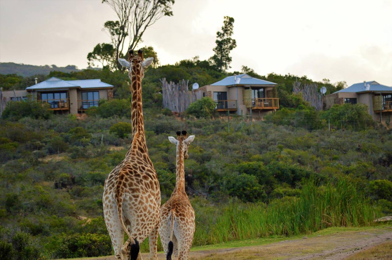Garden Route Game Lodge Albertinia 외부 사진