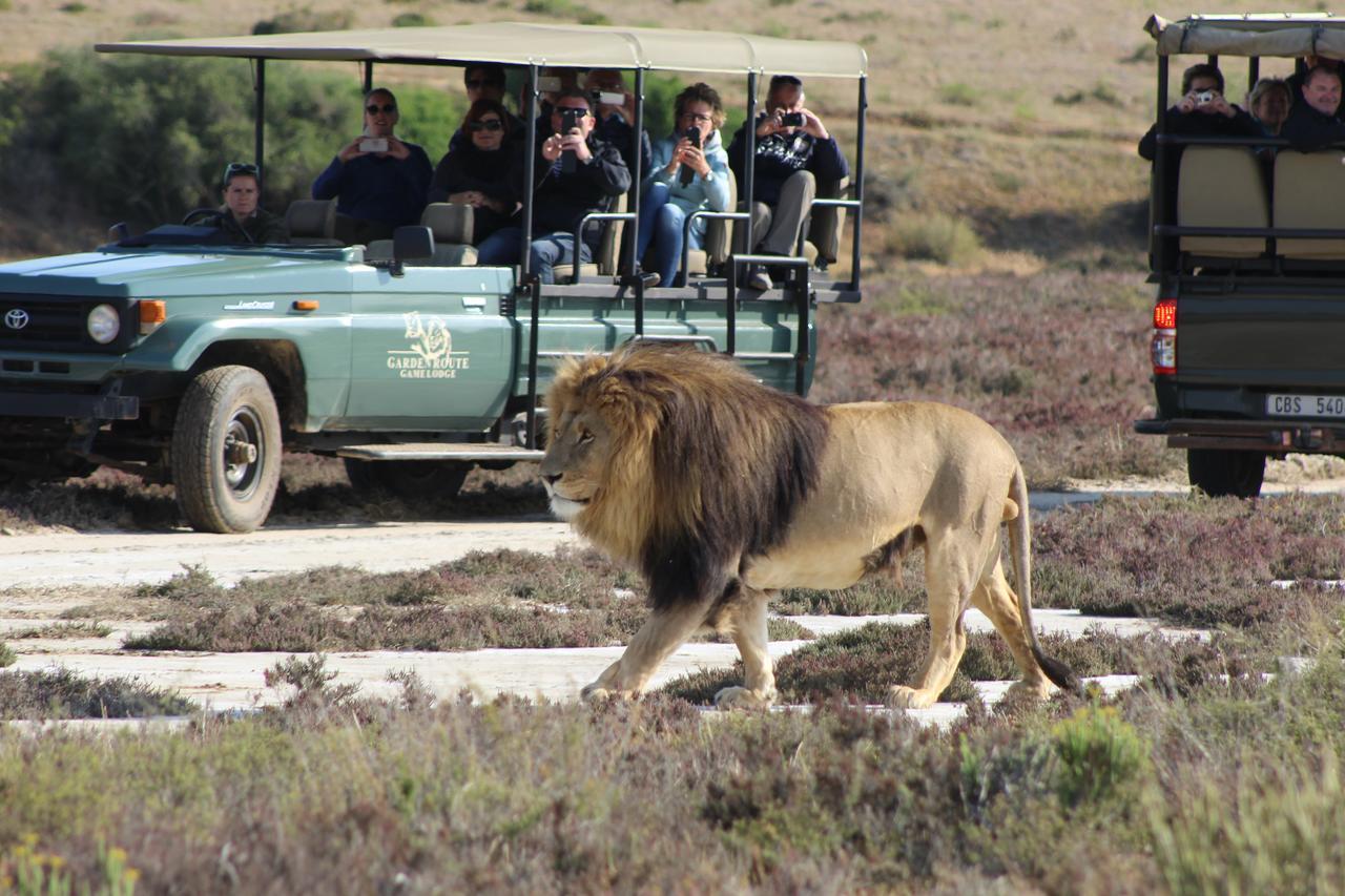 Garden Route Game Lodge Albertinia 외부 사진