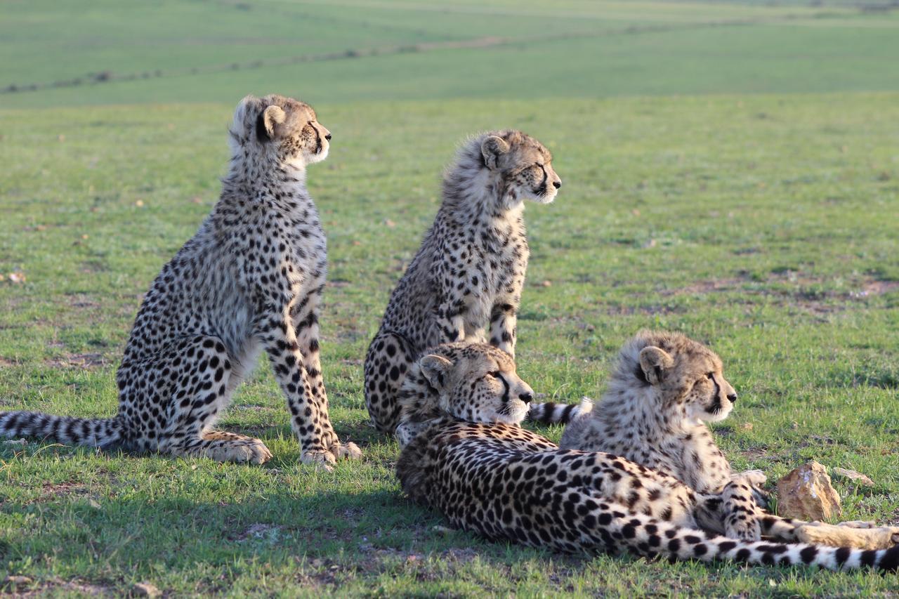 Garden Route Game Lodge Albertinia 외부 사진